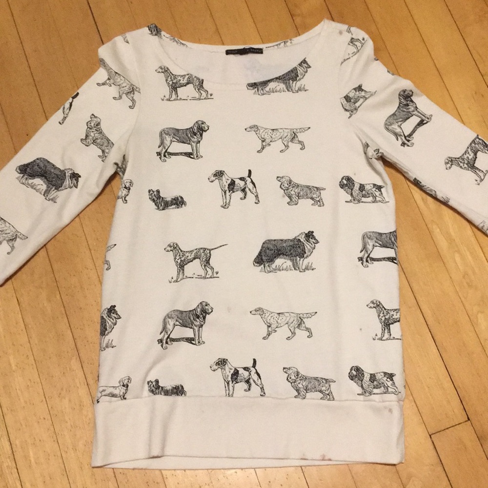 Doggy sweatshirt 🐕